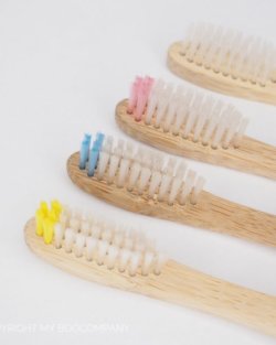 Brosse à dents en Bambou.
