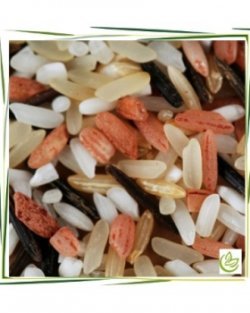 Protéine de riz